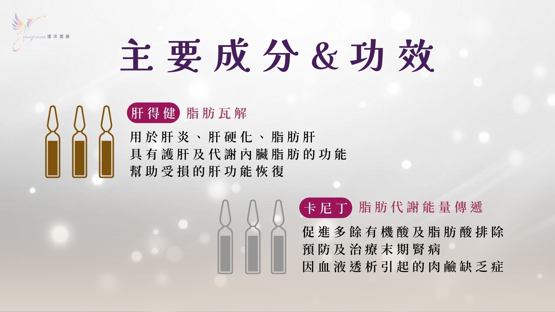 燃脂點滴的主要成分與預期功效