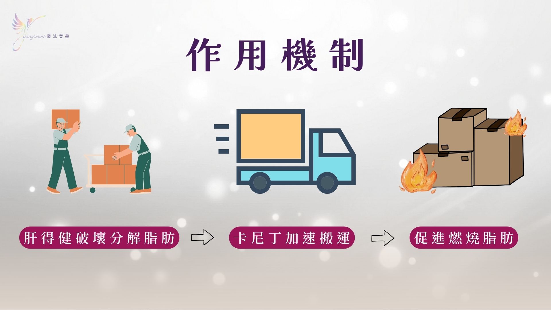 燃脂點滴在體內的作用機制