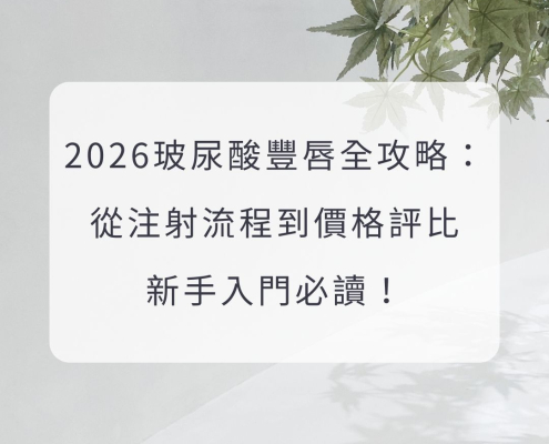 2026玻尿酸豐唇全攻略：從注射流程到價格評比，新手入門必讀